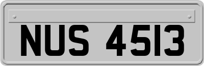 NUS4513