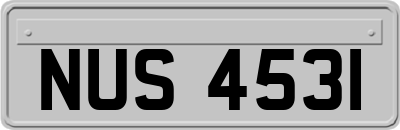 NUS4531