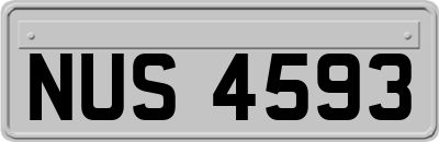 NUS4593