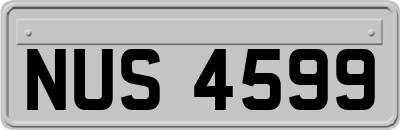 NUS4599