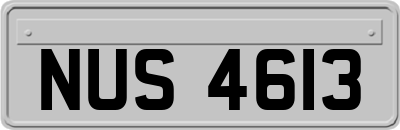 NUS4613