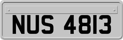 NUS4813