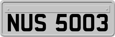 NUS5003