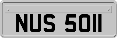 NUS5011