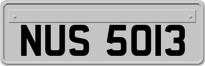 NUS5013