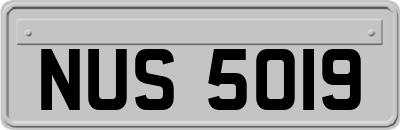 NUS5019