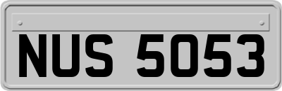 NUS5053