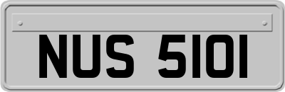 NUS5101