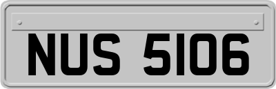 NUS5106