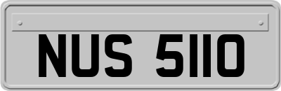 NUS5110