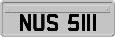 NUS5111