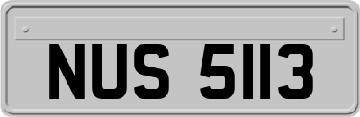 NUS5113