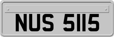 NUS5115