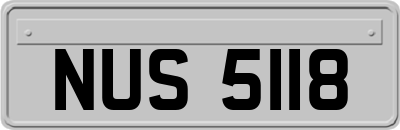 NUS5118