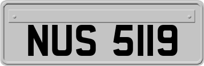 NUS5119