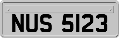 NUS5123