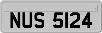 NUS5124