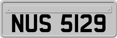 NUS5129