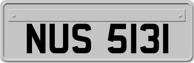 NUS5131