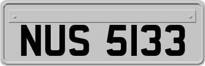 NUS5133