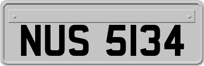 NUS5134