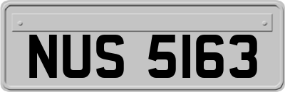 NUS5163