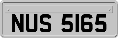 NUS5165