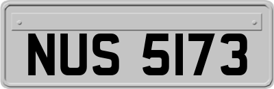 NUS5173