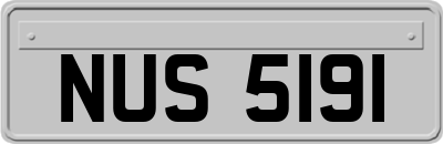 NUS5191