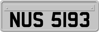 NUS5193