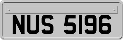 NUS5196
