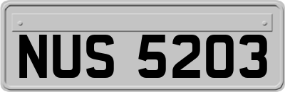 NUS5203