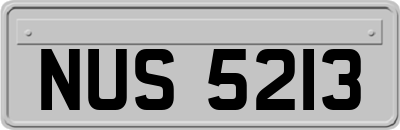 NUS5213