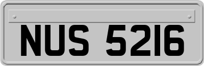 NUS5216