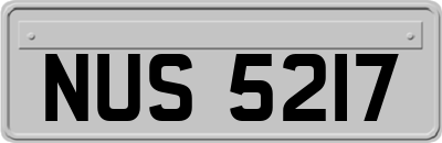 NUS5217