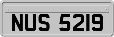NUS5219