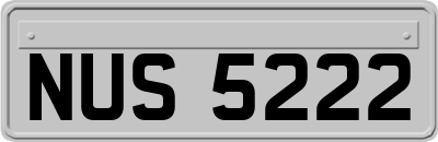 NUS5222