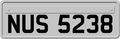 NUS5238