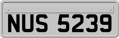 NUS5239