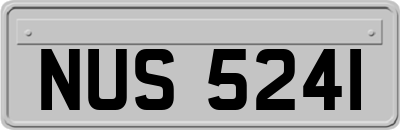 NUS5241