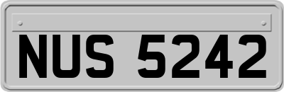 NUS5242