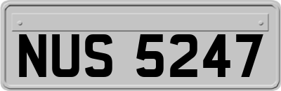 NUS5247