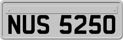NUS5250