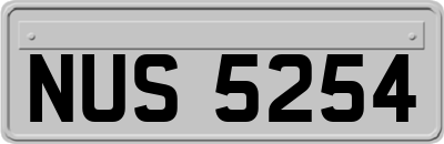 NUS5254