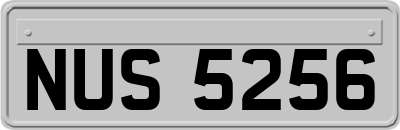 NUS5256