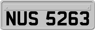NUS5263
