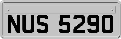 NUS5290
