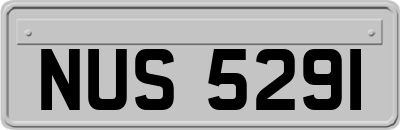 NUS5291