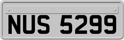 NUS5299