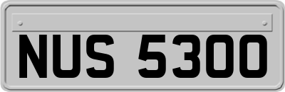 NUS5300